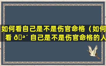 如何看自己是不是伤官命格（如何看 🪴 自己是不是伤官命格的人）